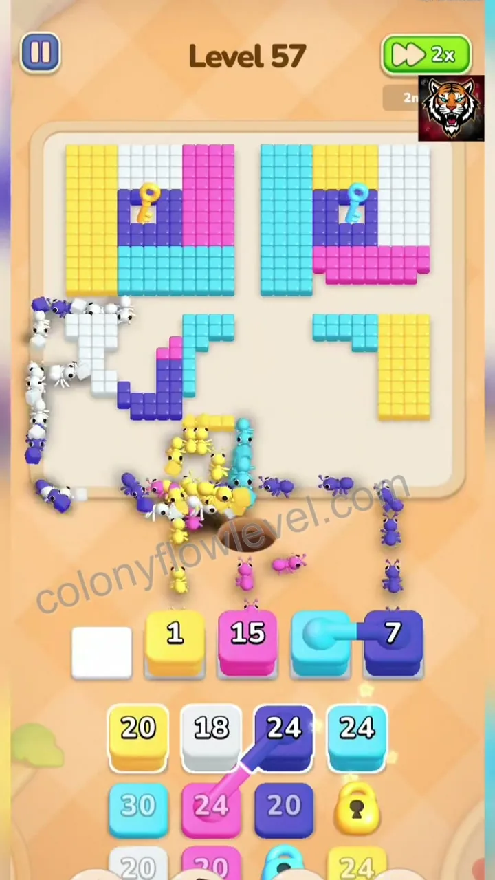 Colony Flow Level 57 step 4