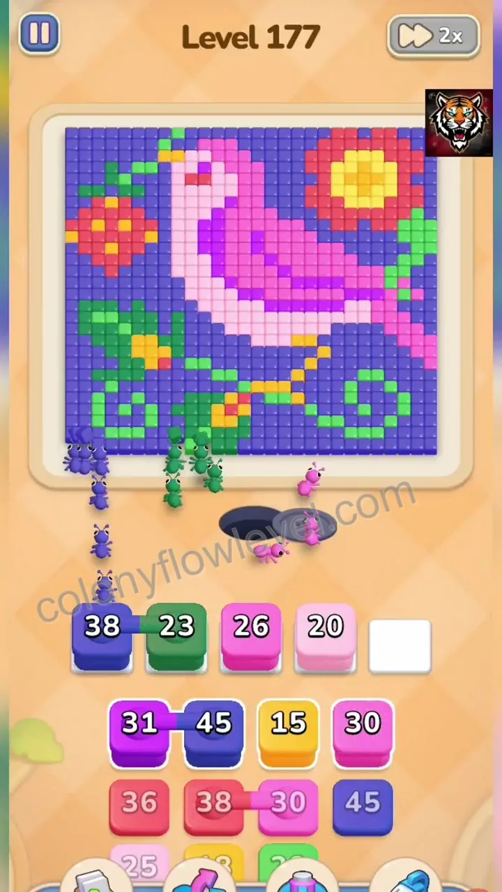 Colony Flow Level 177 step 2