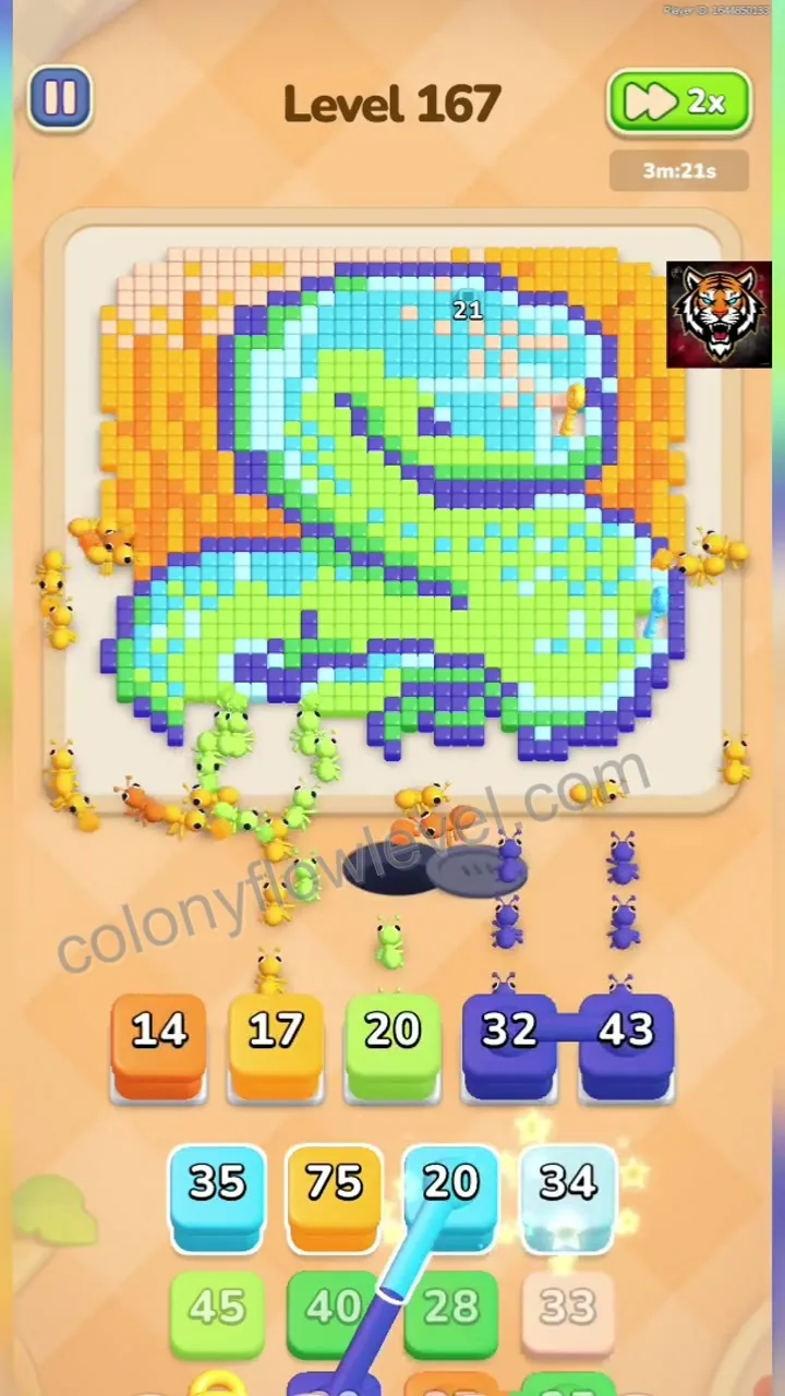 Colony Flow Level 167 step 4