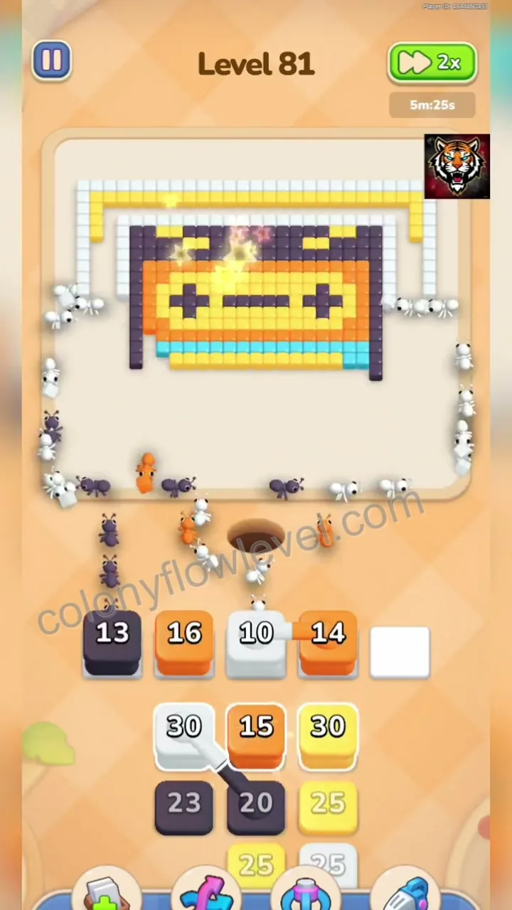 Colony Flow Level 81 step 4
