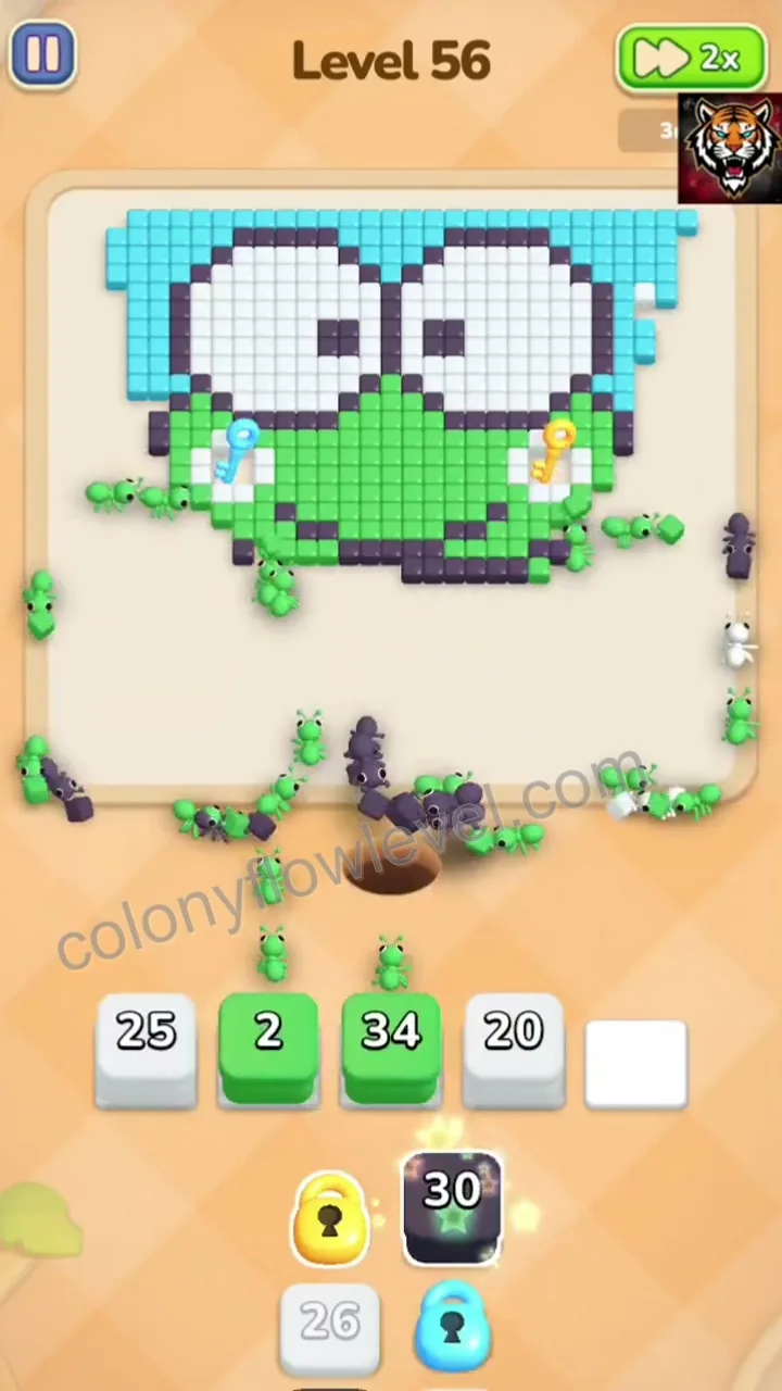 Colony Flow Level 56 step 4