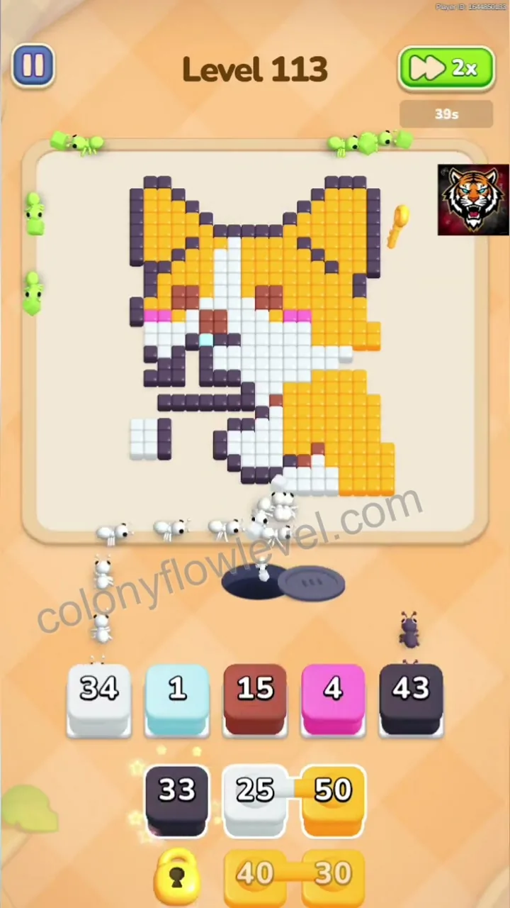 Colony Flow Level 113 step 4