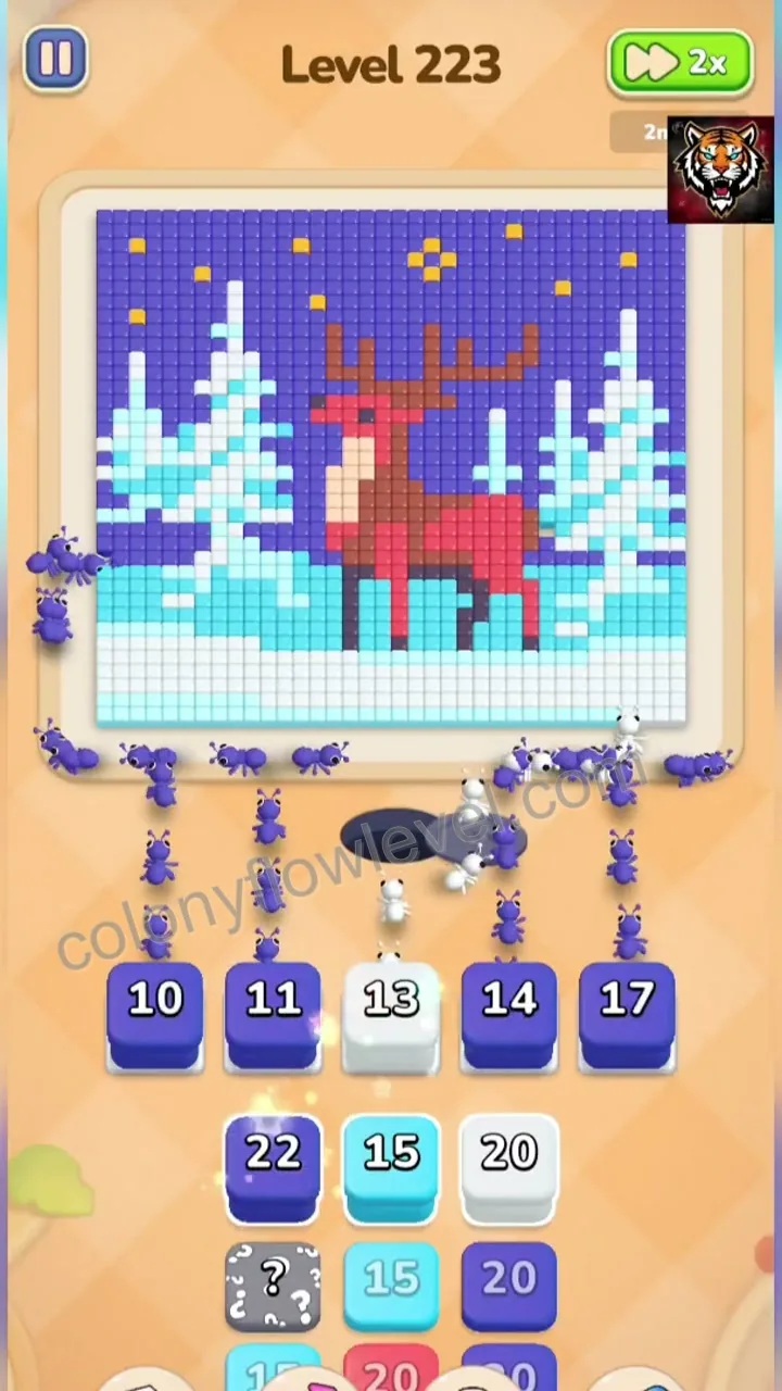 Colony Flow Level 223 step 2