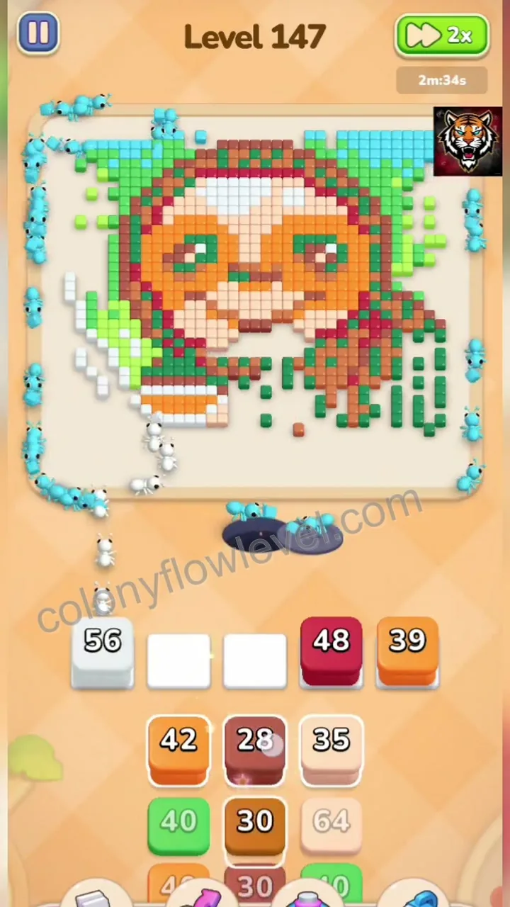 Colony Flow Level 147 step 4