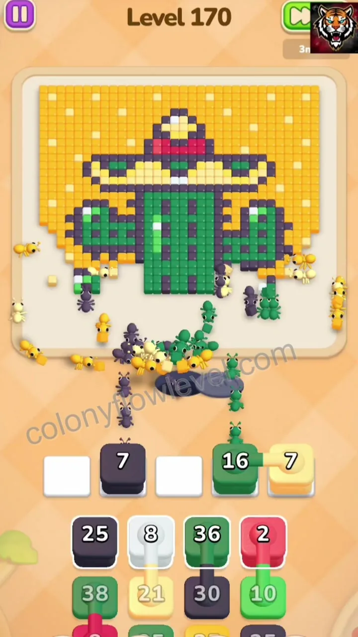 Colony Flow Level 170 step 4
