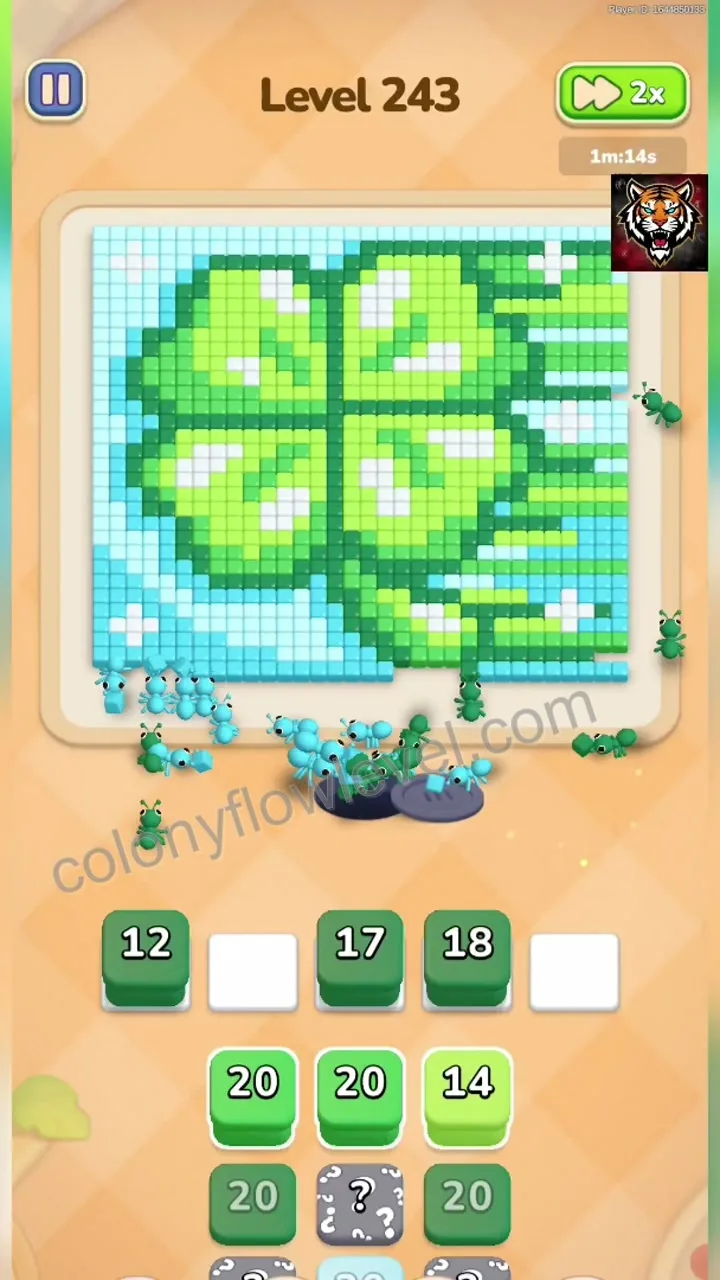 Colony Flow Level 243 step 2