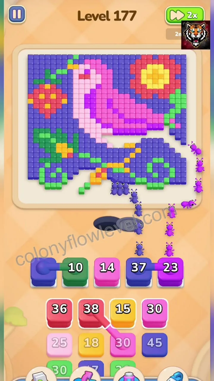 Colony Flow Level 177 step 3