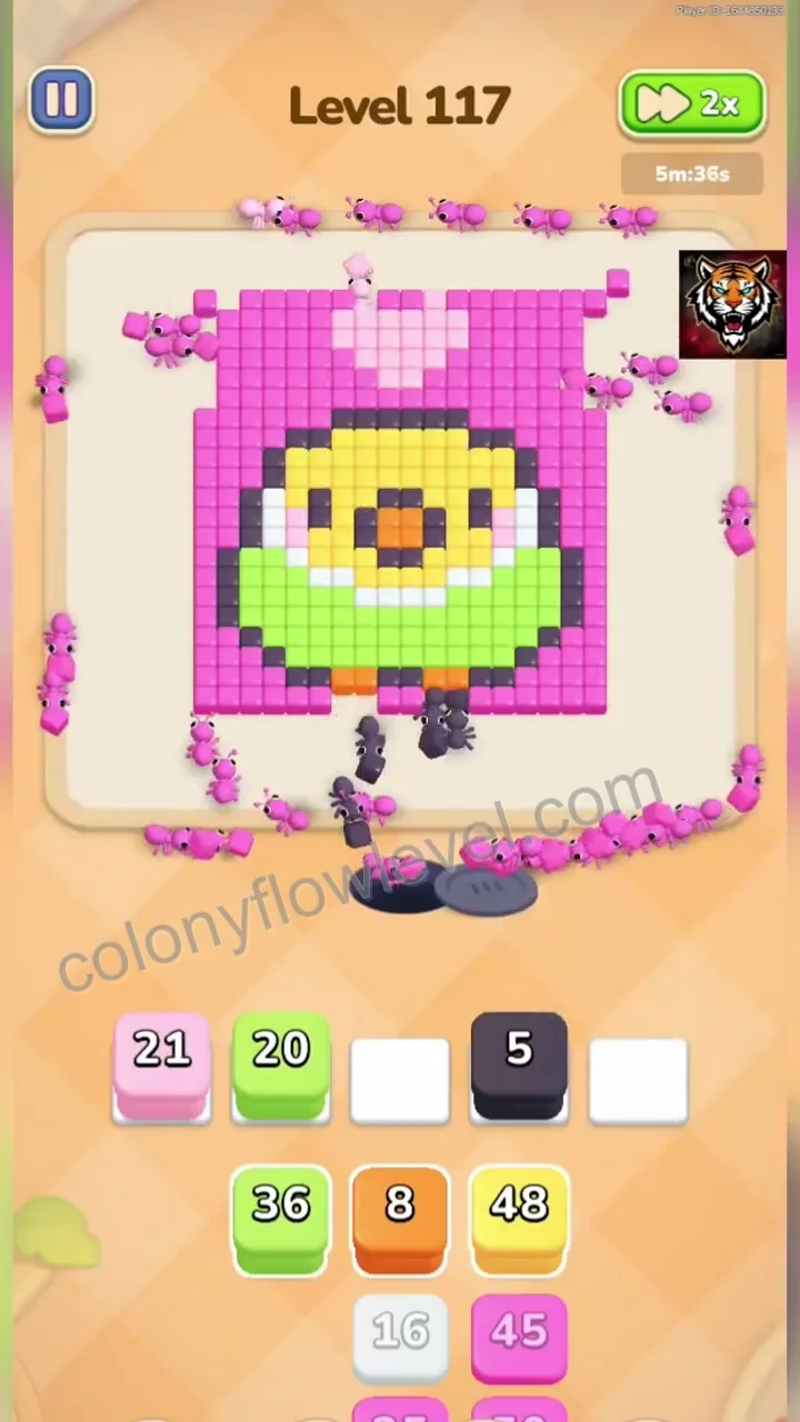 Colony Flow Level 117 step 3