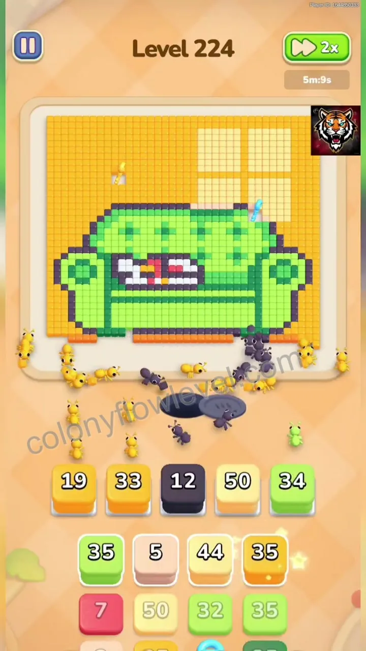 Colony Flow Level 224 step 3