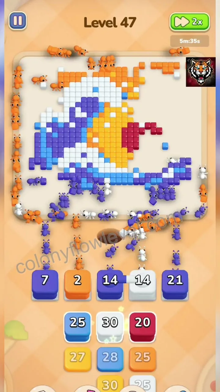Colony Flow Level 47 step 4