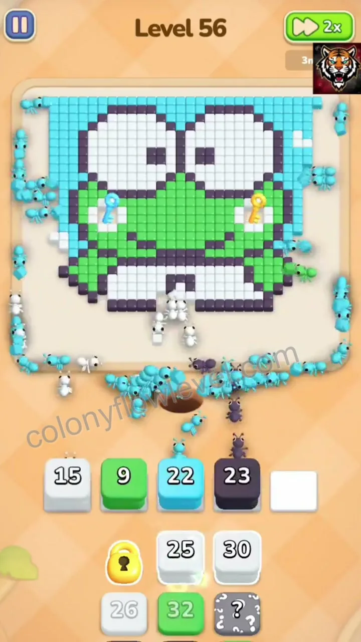 Colony Flow Level 56 step 3