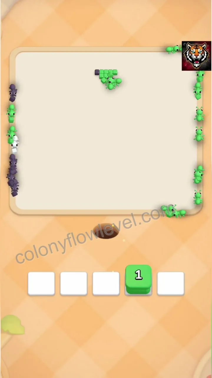 Colony Flow Level 66 step 4