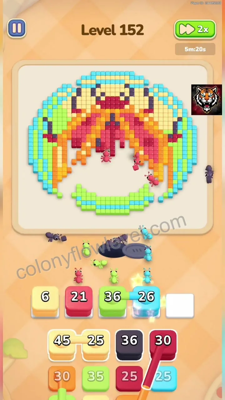 Colony Flow Level 152 step 4