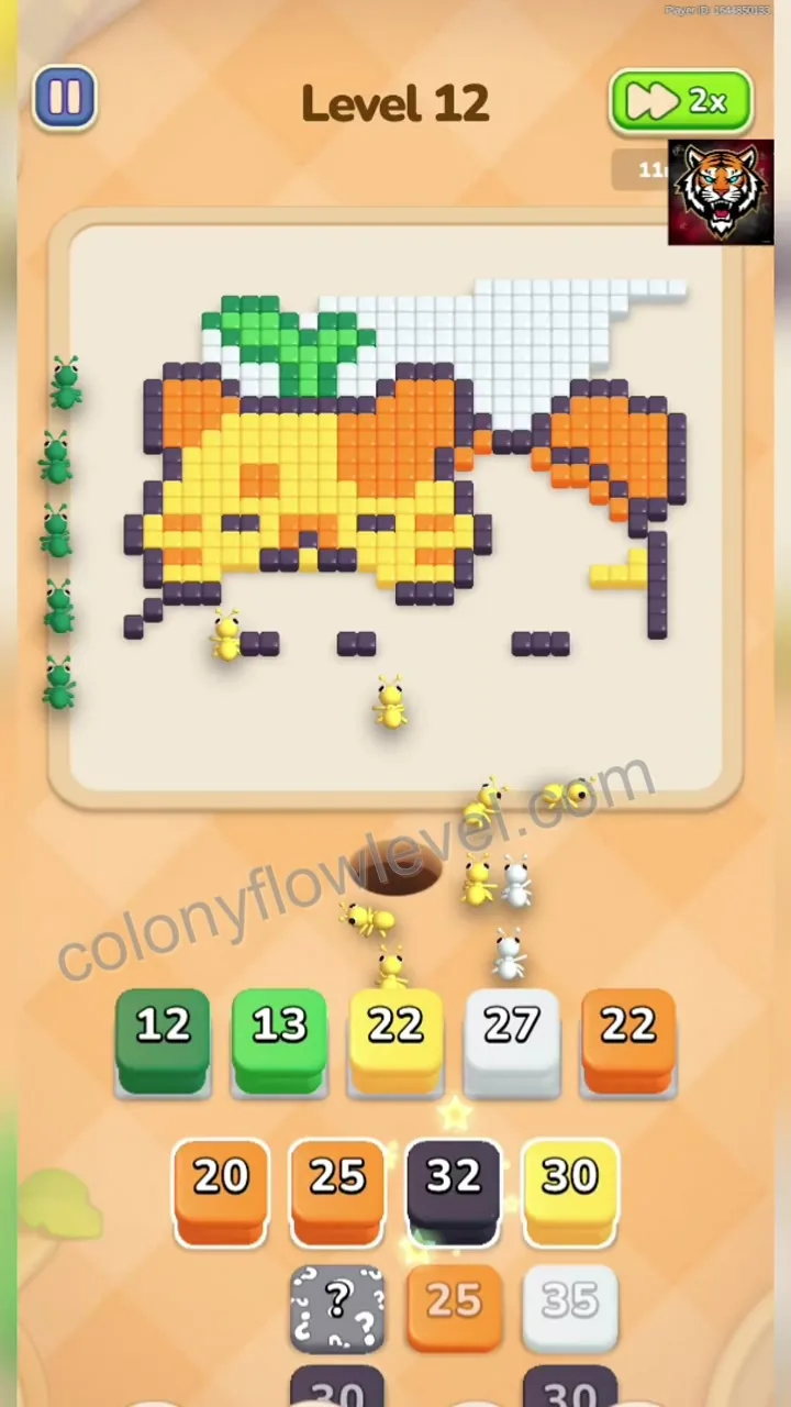 Colony Flow Level 12 step 4