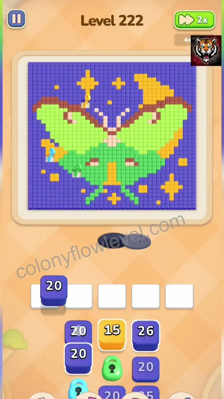 Colony Flow Level 222