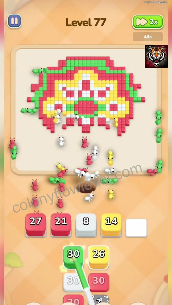Colony Flow Level 77 step 4
