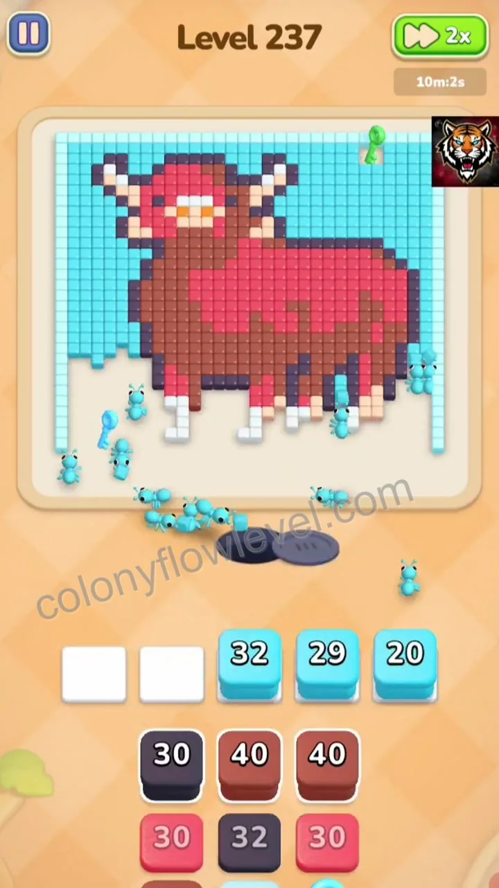 Colony Flow Level 237 step 4