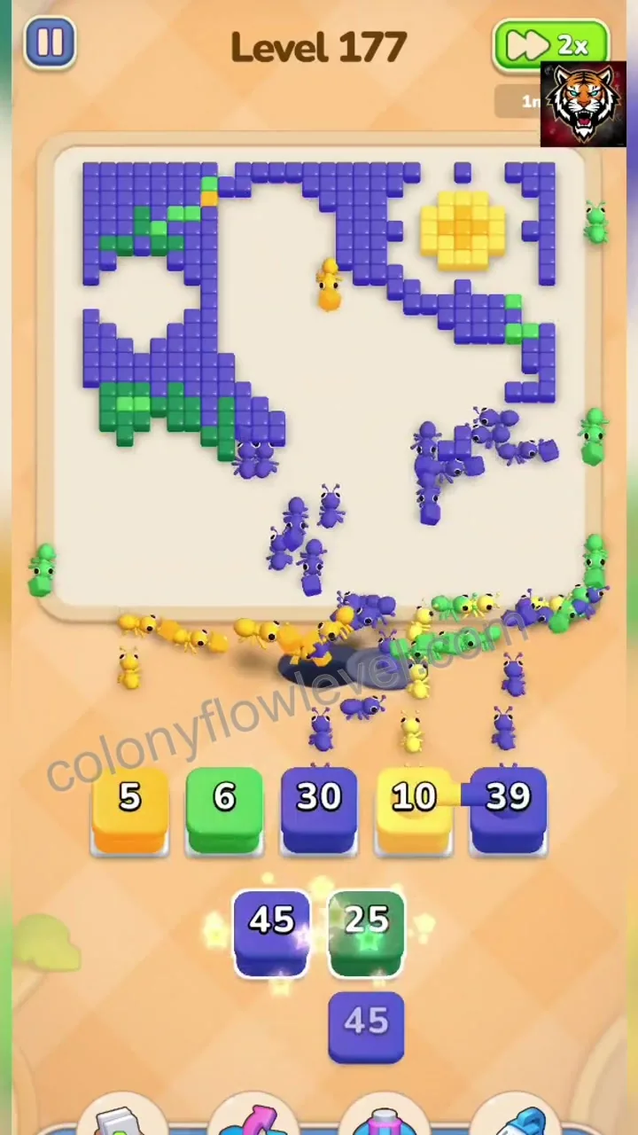 Colony Flow Level 177 step 4