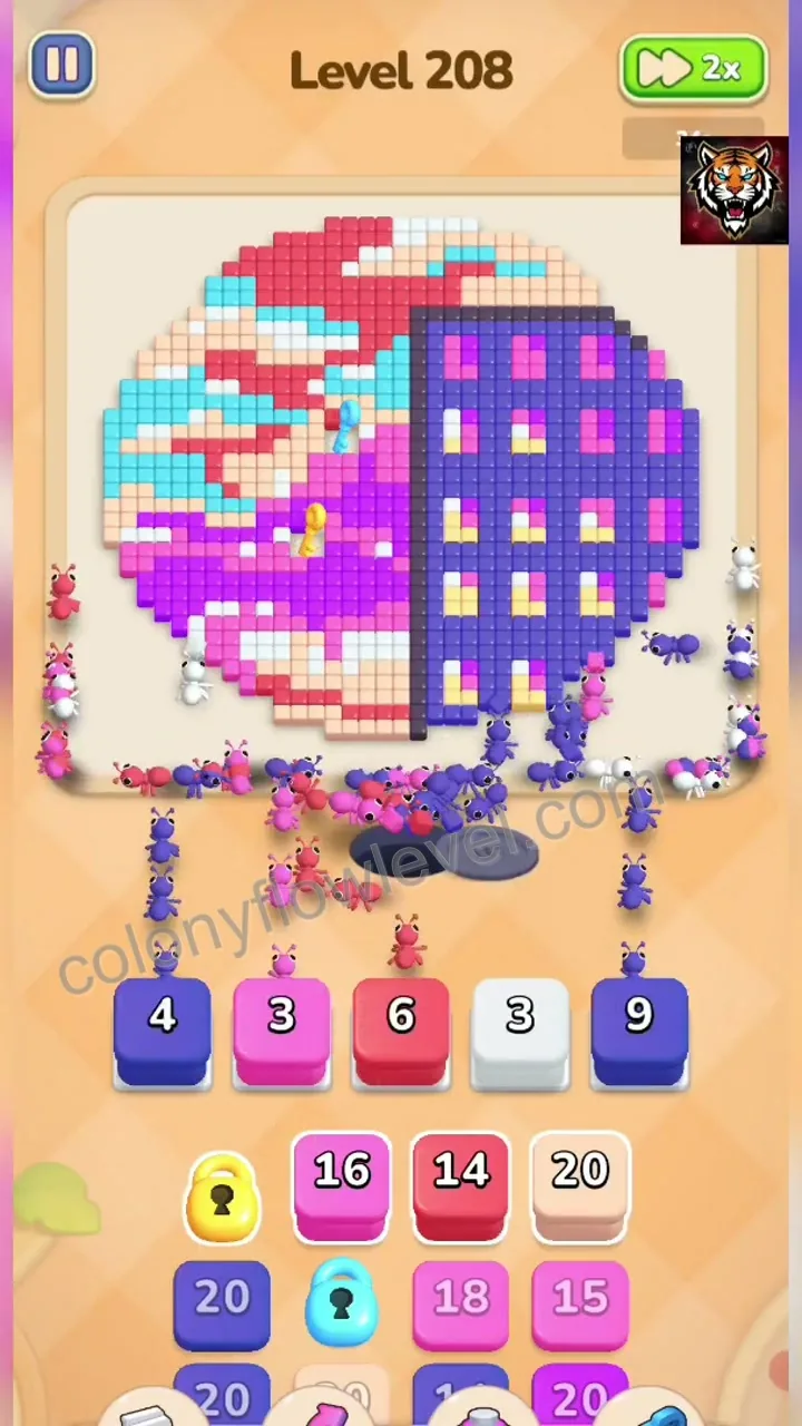 Colony Flow Level 208 step 2