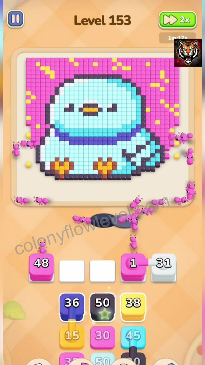 Colony Flow Level 153 step 3