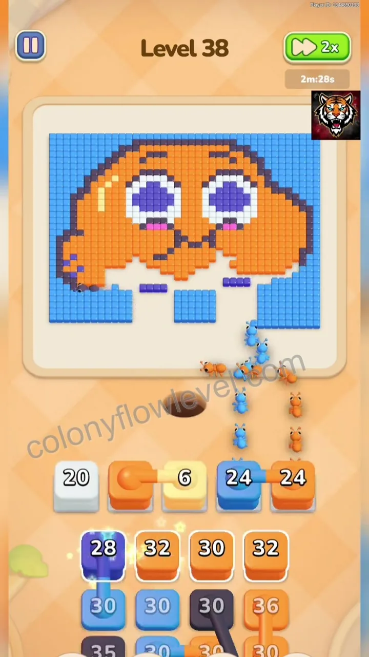 Colony Flow Level 38 step 4