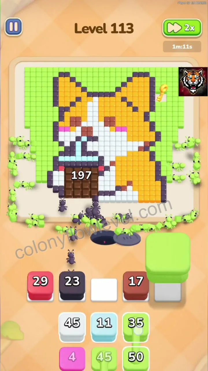 Colony Flow Level 113 step 3