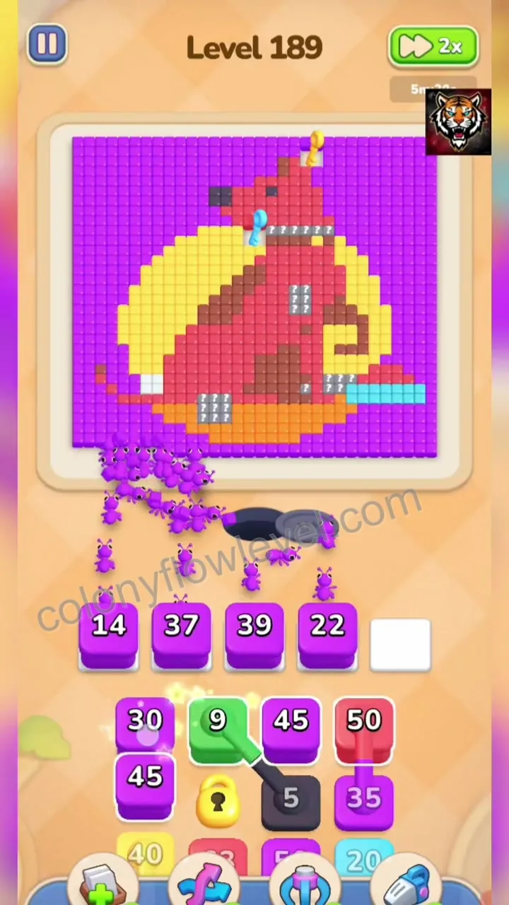 Colony Flow Level 189 step 2