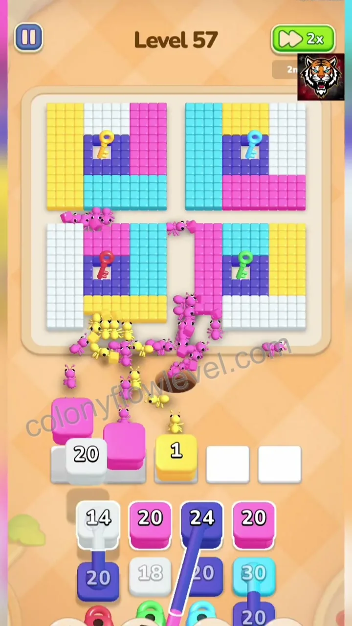 Colony Flow Level 57 step 2