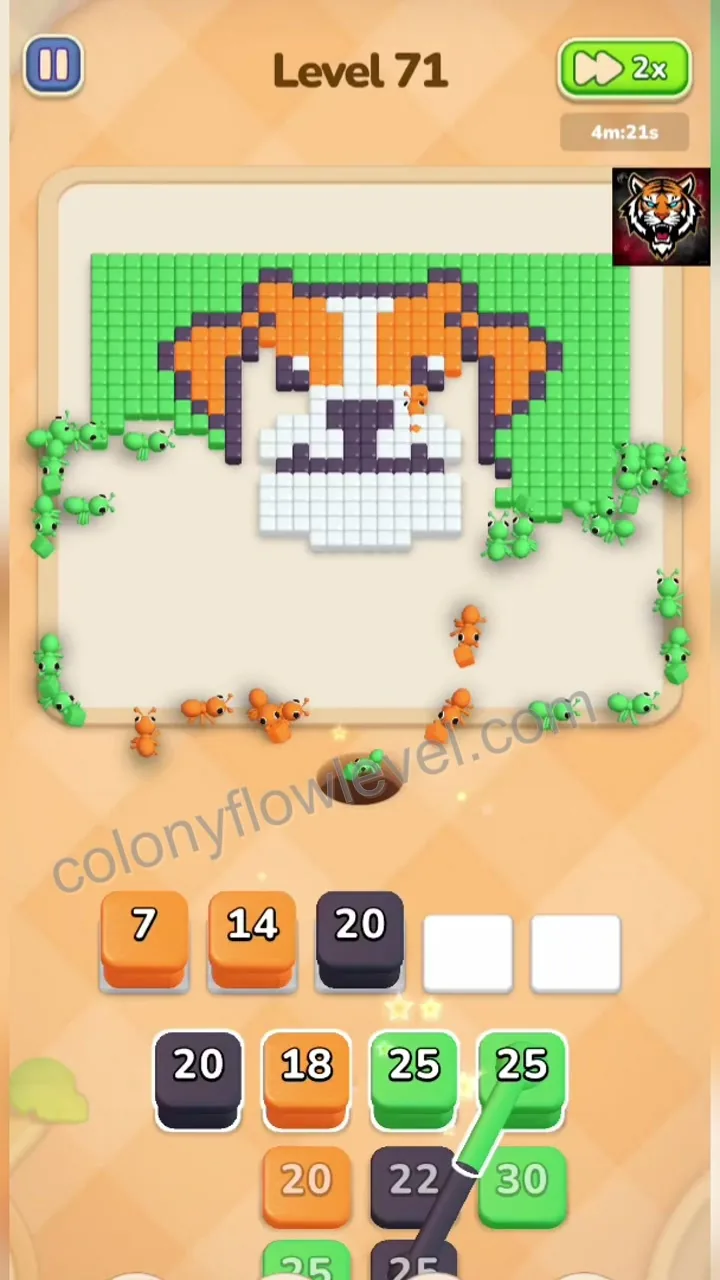 Colony Flow Level 71 step 4