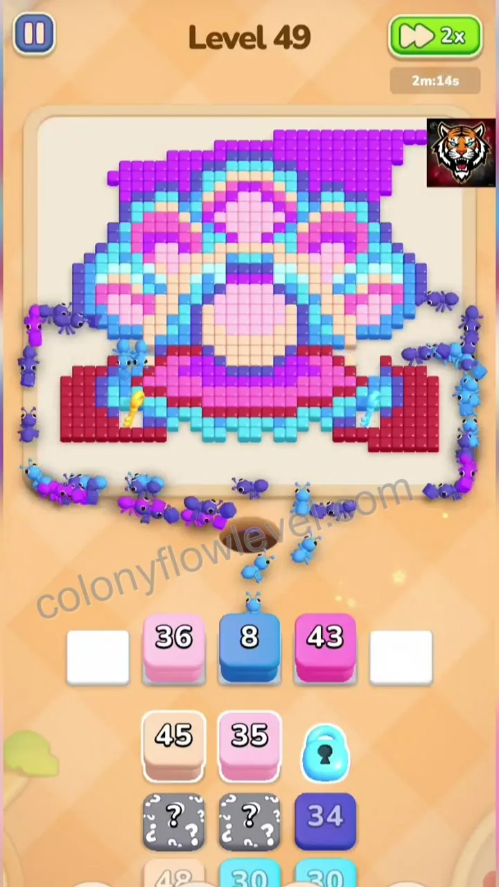 Colony Flow Level 49 step 3