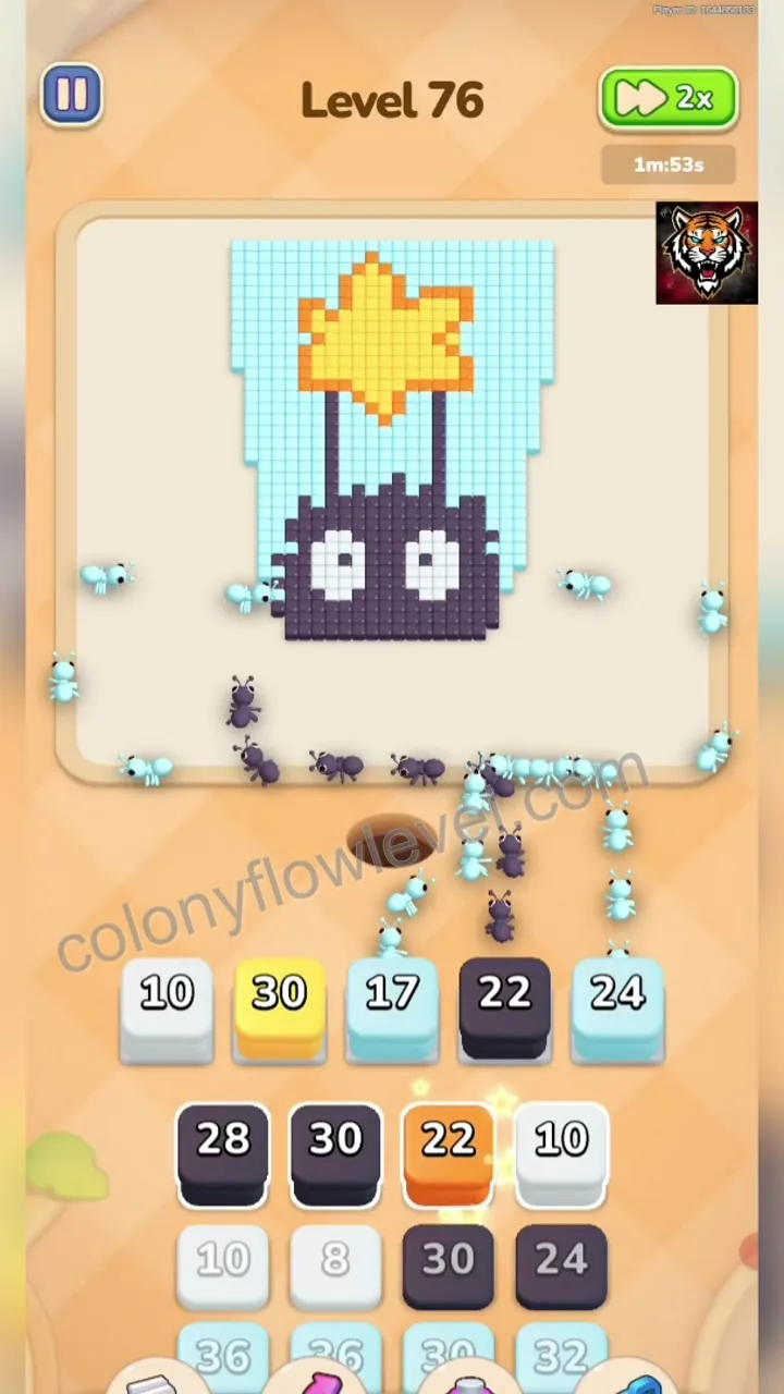Colony Flow Level 76 step 4