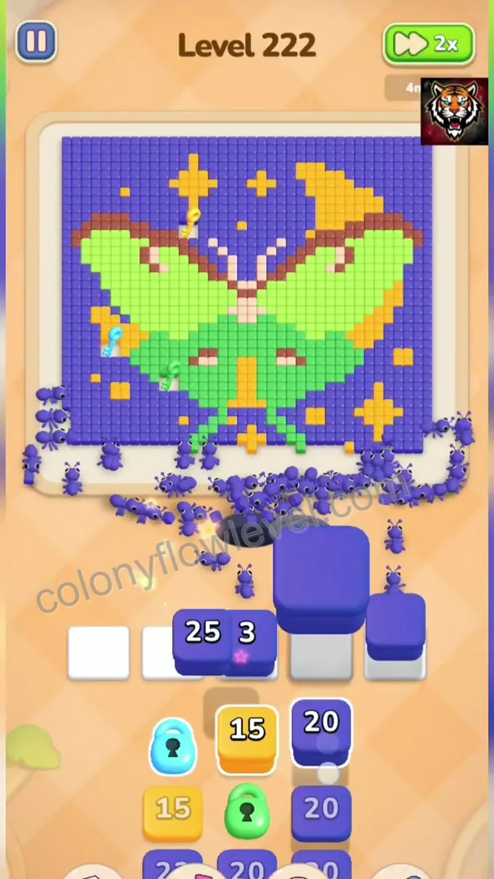 Colony Flow Level 222 step 2