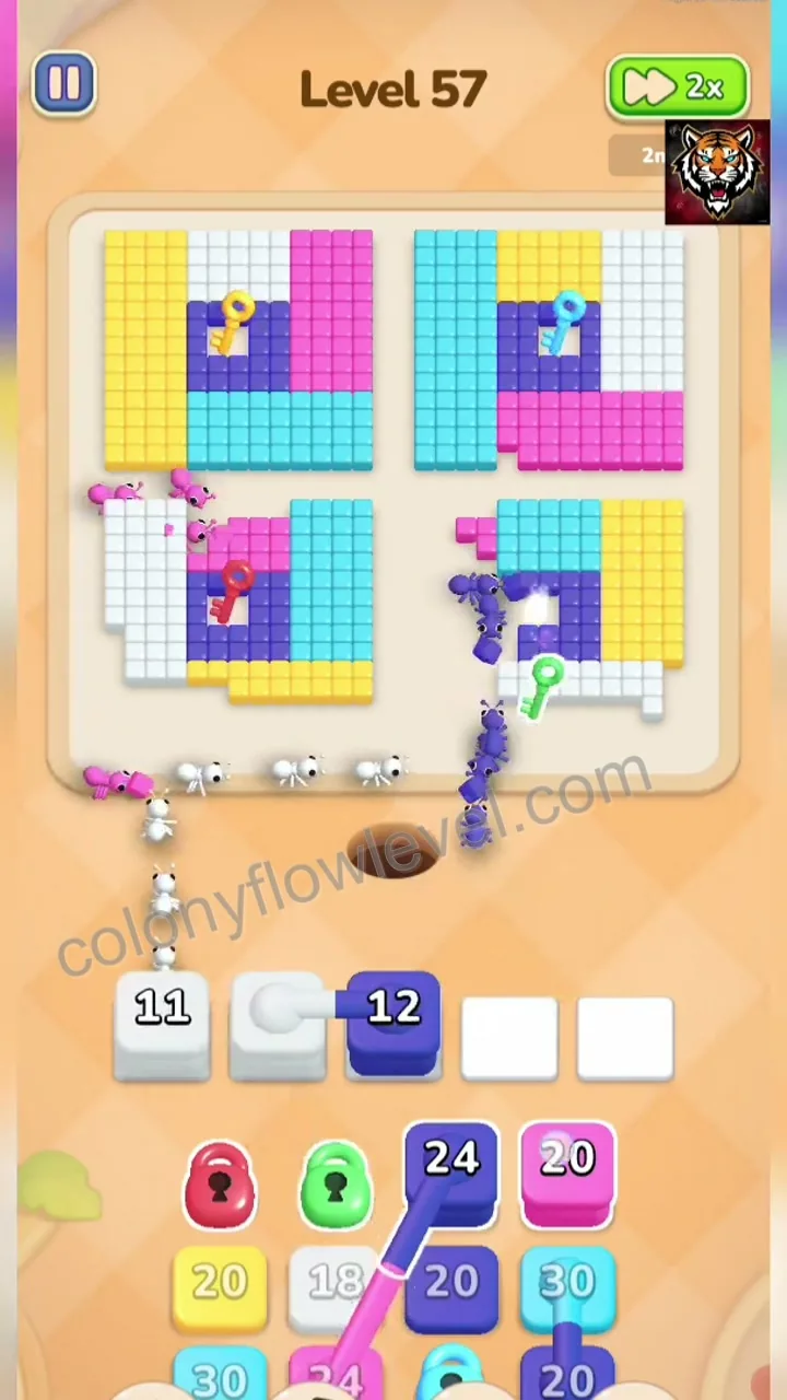 Colony Flow Level 57 step 3