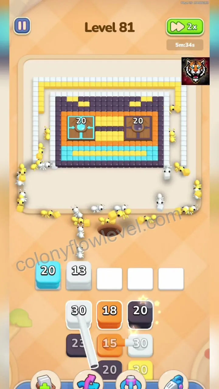 Colony Flow Level 81 step 3