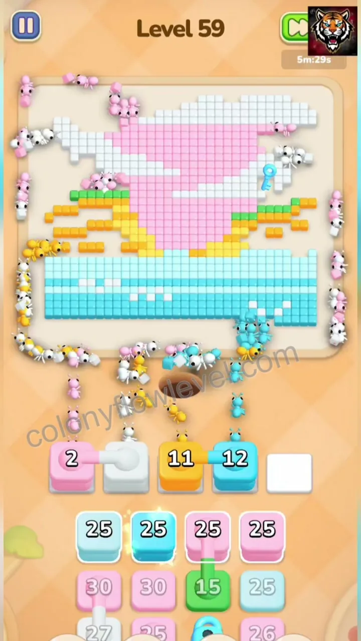 Colony Flow Level 59 step 4