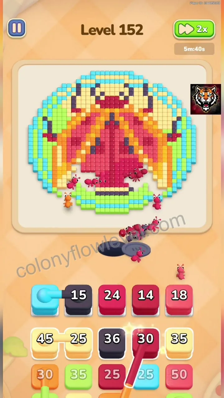 Colony Flow Level 152 step 3