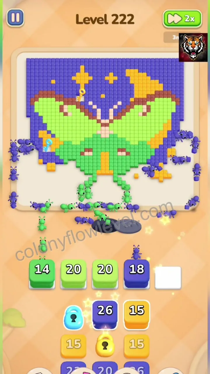 Colony Flow Level 222 step 3