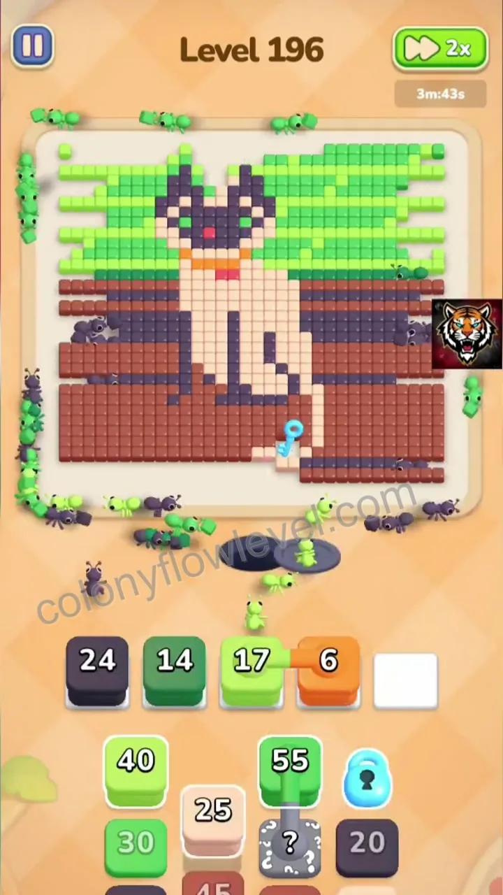 Colony Flow Level 196 step 3