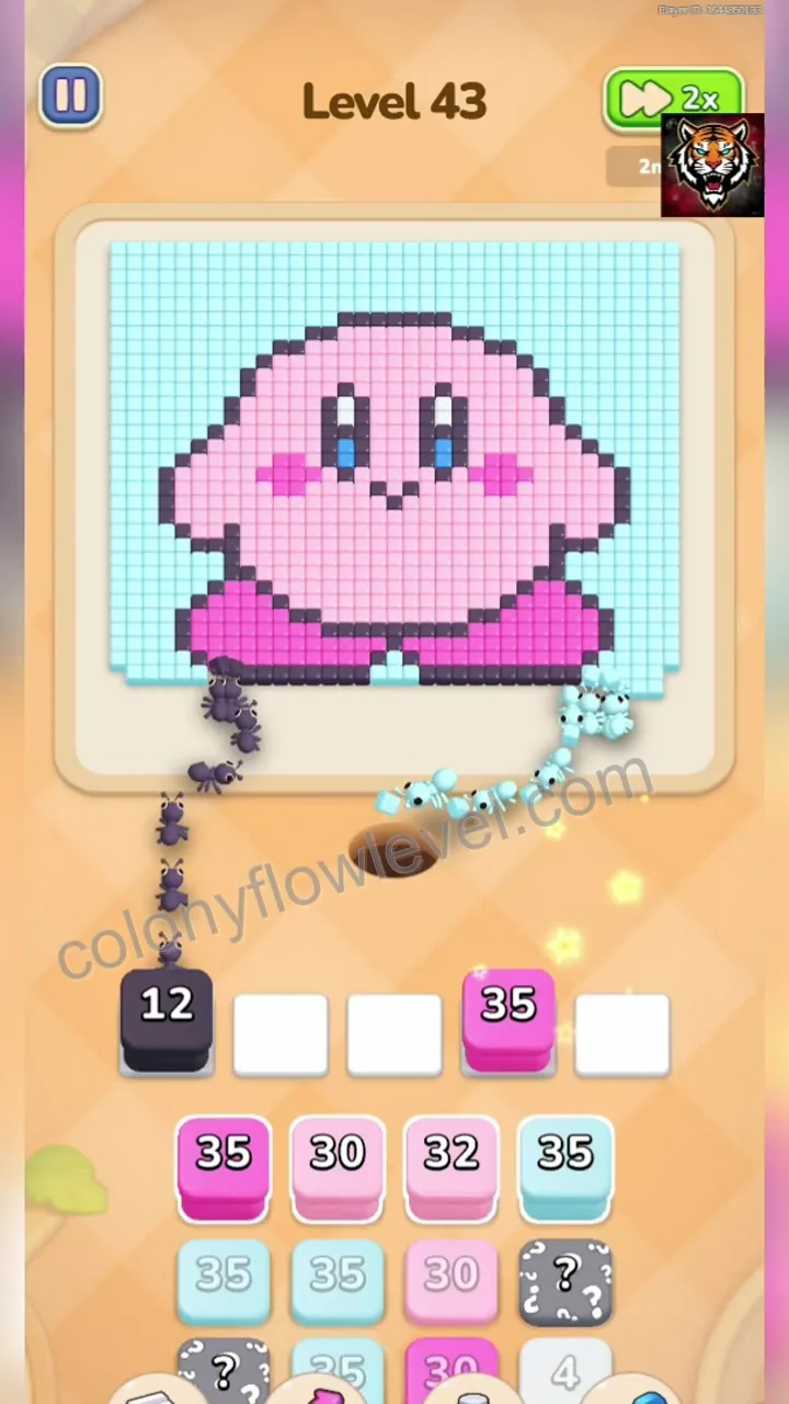 Colony Flow Level 43 step 3