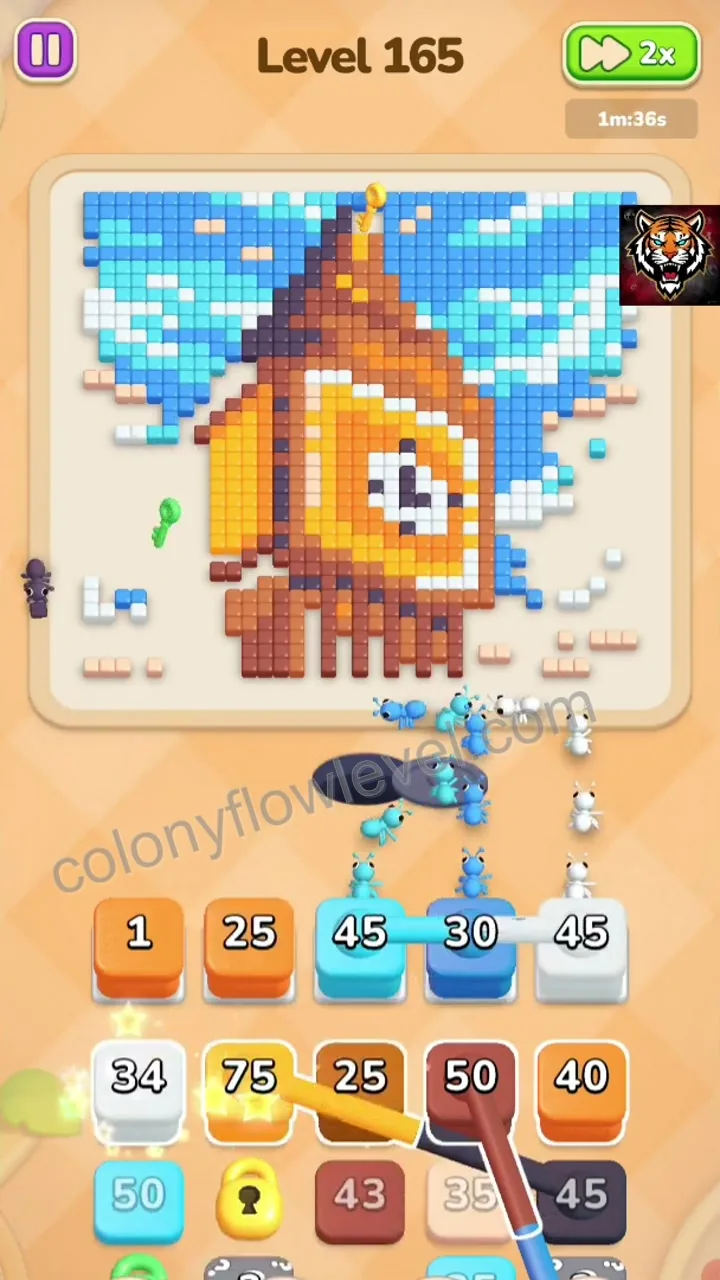 Colony Flow Level 165 step 4