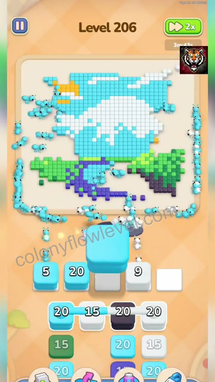 Colony Flow Level 206 step 4