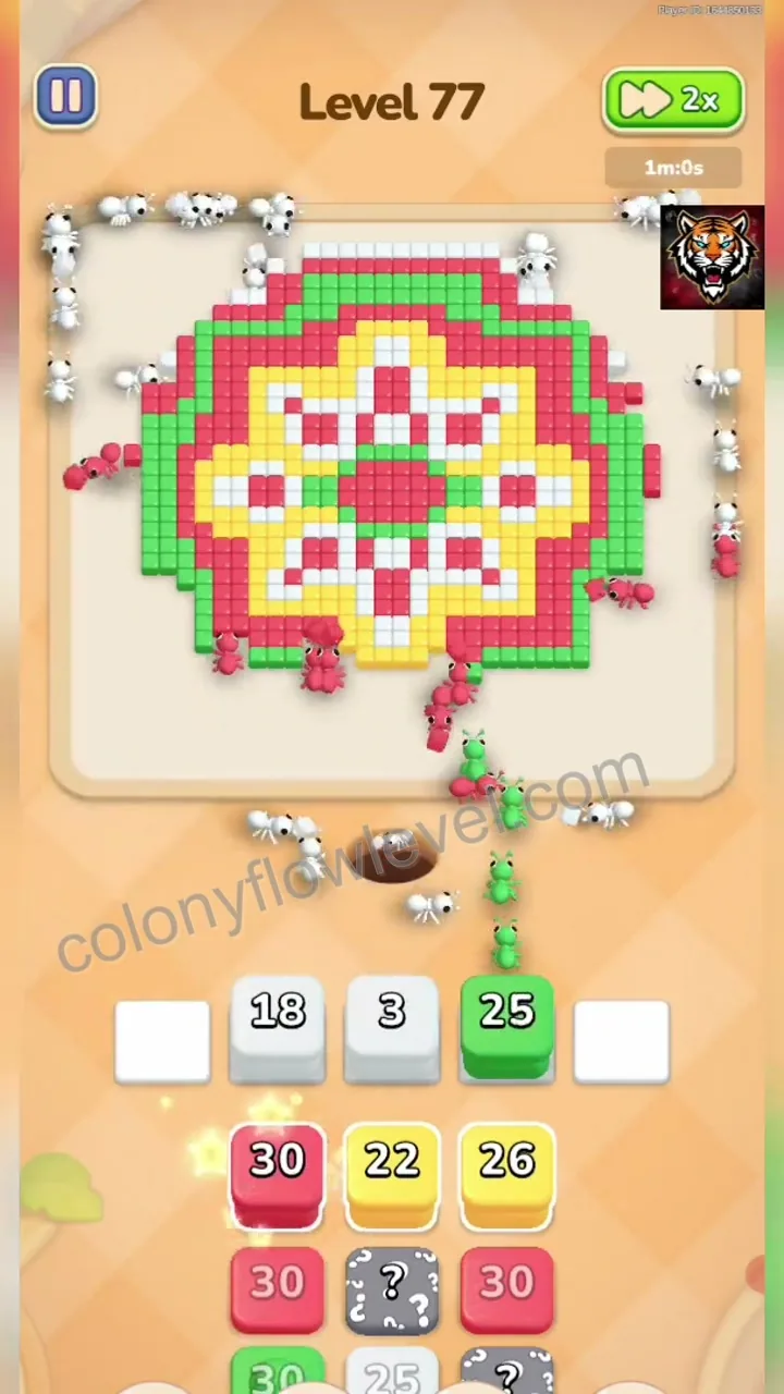 Colony Flow Level 77 step 3