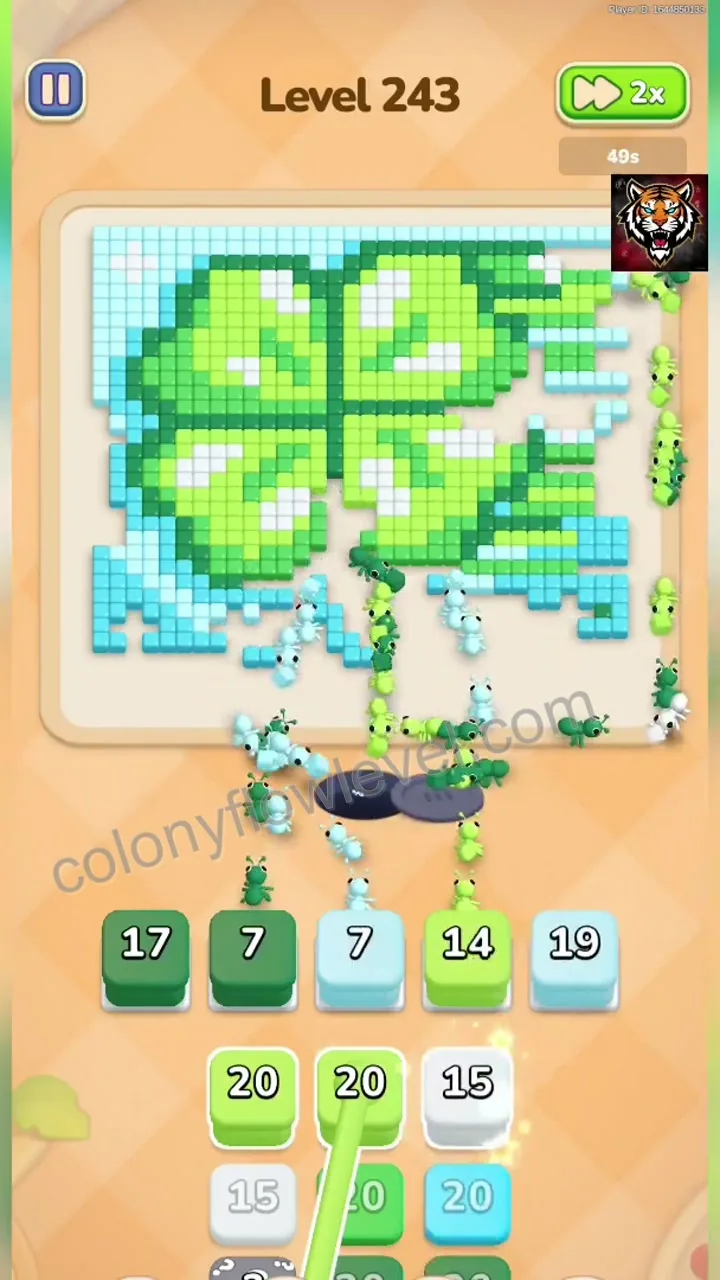 Colony Flow Level 243 step 4
