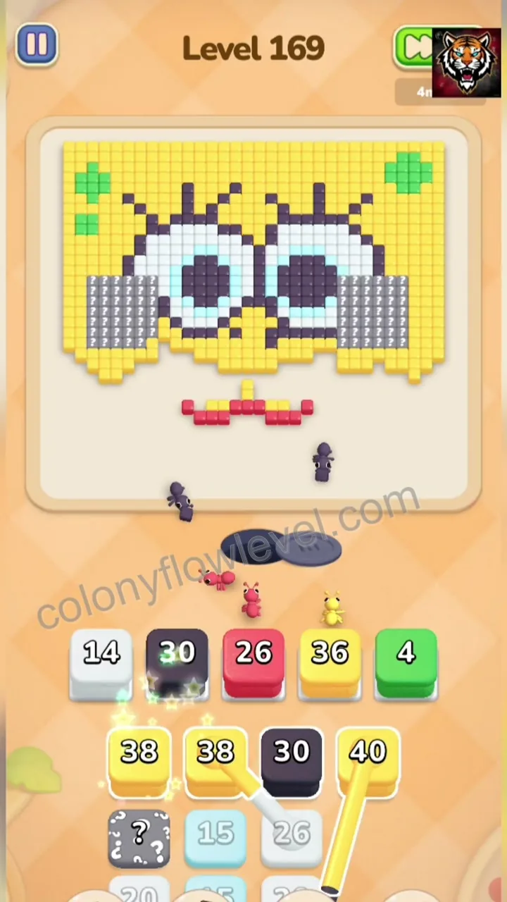 Colony Flow Level 169 step 4