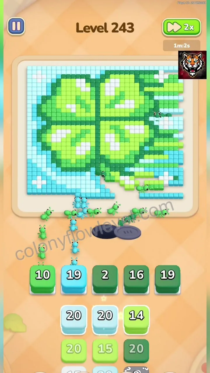 Colony Flow Level 243 step 3
