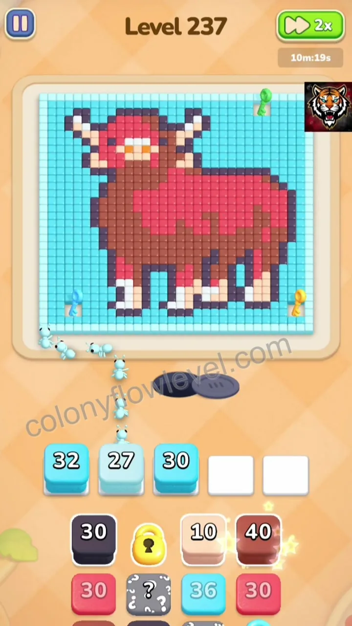 Colony Flow Level 237 step 2