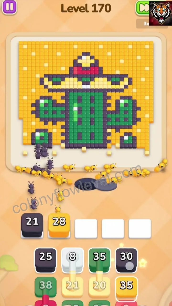 Colony Flow Level 170 step 3