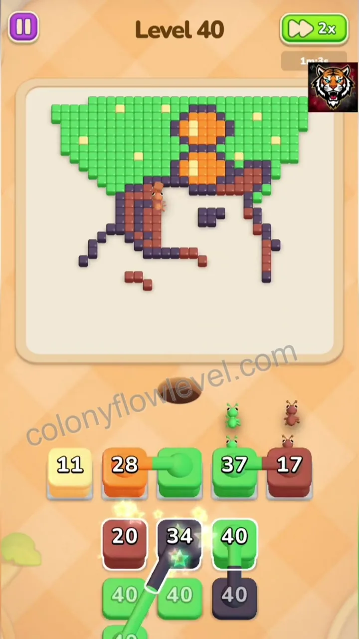 Colony Flow Level 40 step 4