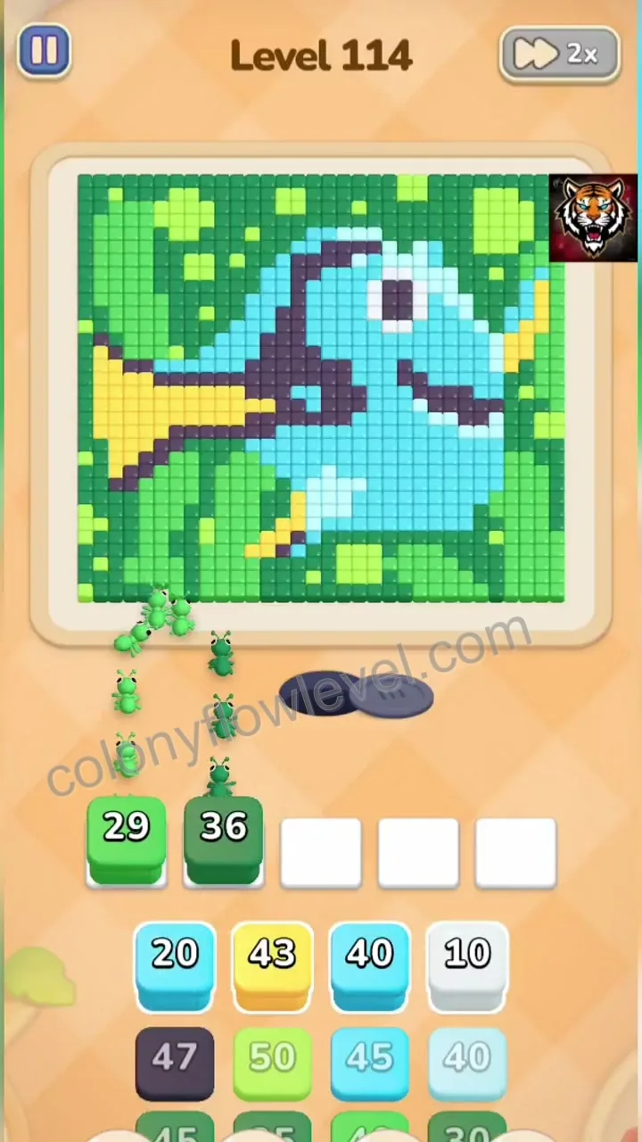 Colony Flow Level 114 step 2