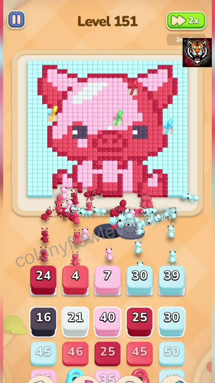 Colony Flow Level 151 step 2